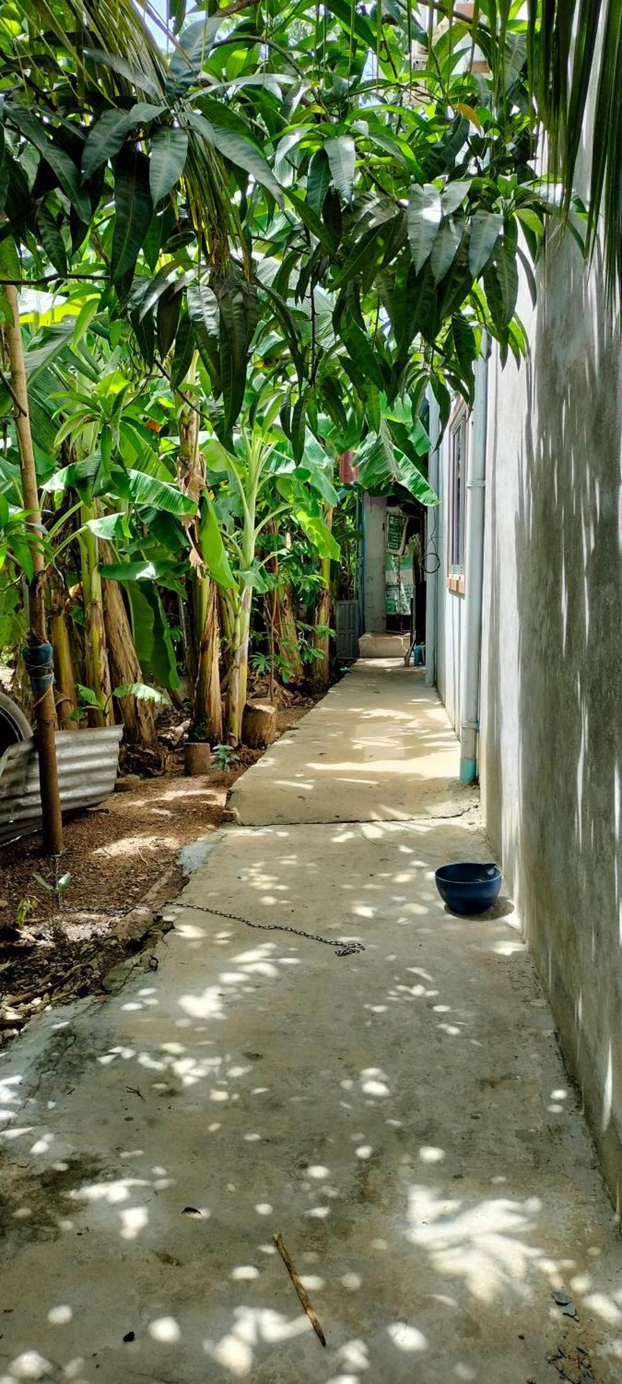 La Maison De Soriya - Work & Stay Kampot Eksteriør billede