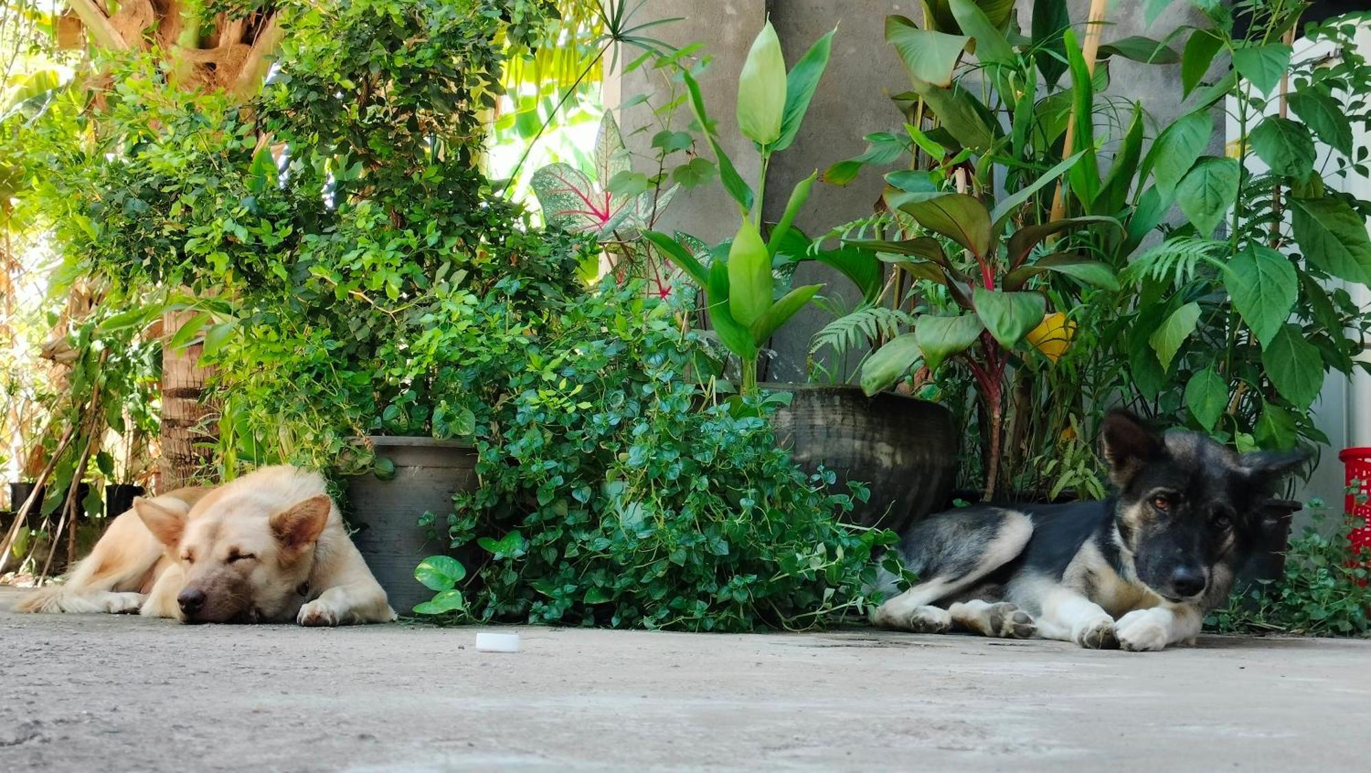 La Maison De Soriya - Work & Stay Kampot Eksteriør billede