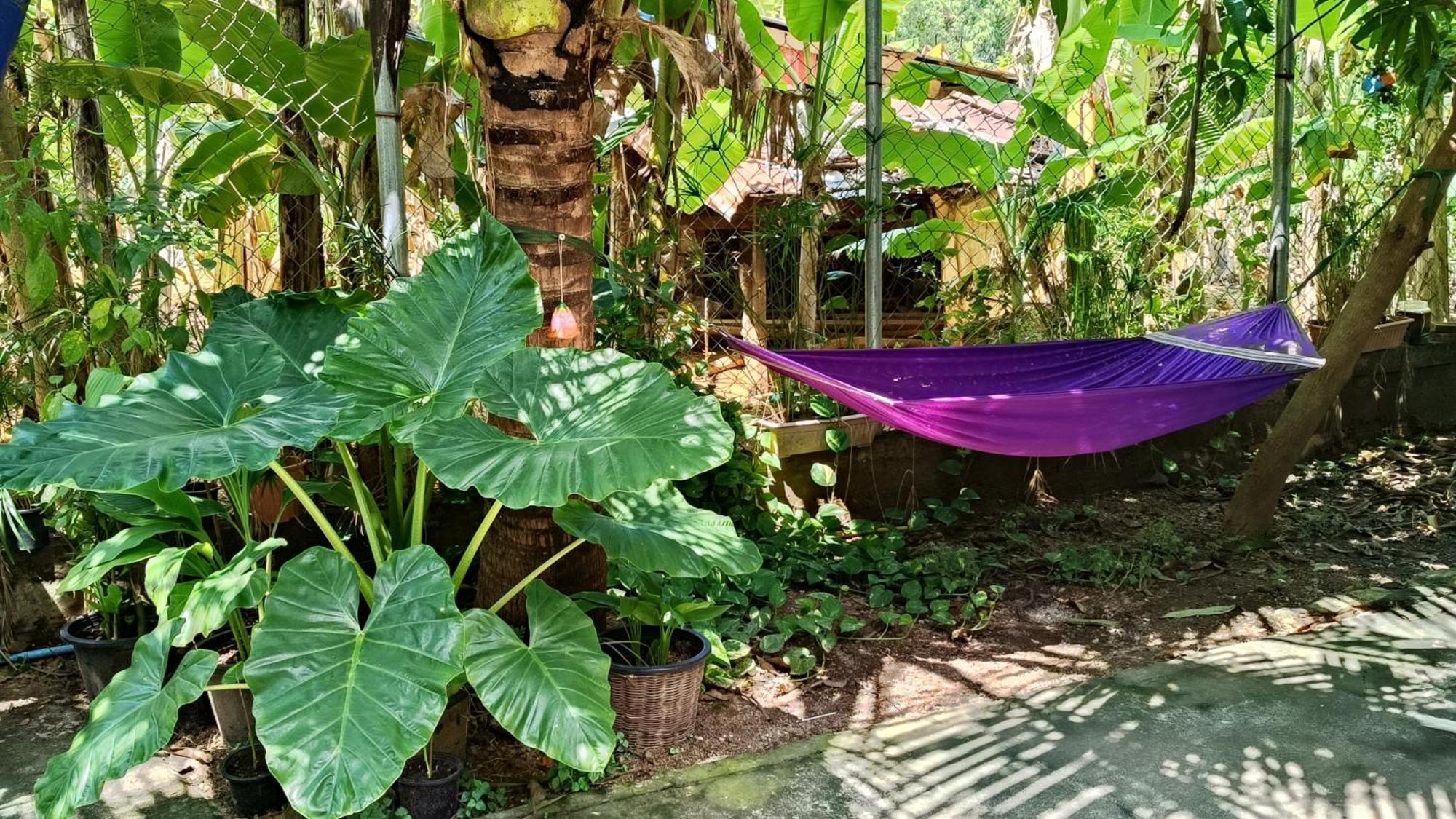 La Maison De Soriya - Work & Stay Kampot Eksteriør billede